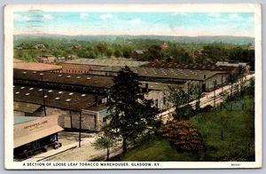 K38/ Glasgow Kentucky Postcard c1910 Loose Leaf Tobacco Warehouse 306 - Picture 1 of 4