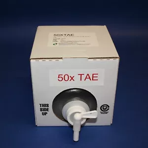 50x TAE Puffer (4 L) - Bild 1 von 1