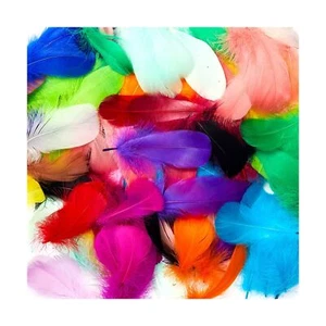 800pcs Colorful Feathers 20 Colors Craft Feathers 3-5 Inches Assorted Rainbow... - Imagen 1 de 8