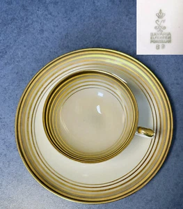 Sammeltasse 2tlg. Porzellanfabrik Oscar Schaller & Co Schwarzenbach konz. Kreise - Bild 1 von 1