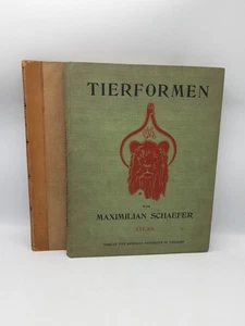 Schaefer Tierformen - TEXTBAND und Atlas Vergleichende Studien über die Anato.. - Bild 1 von 11