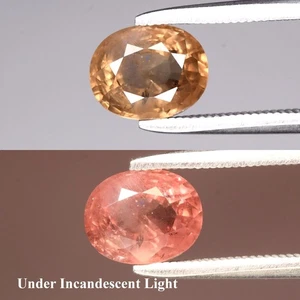 💎 1,86ct ovaler natürlicher Farbwechsel Granat - unbeheizt, Madagaskar Edelstein - Bild 1 von 6