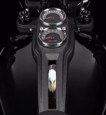 Inserto de tablero American Eagle. Se adapta a Harley Davidson Dyna Low Rider 2018-2021 Foto 1 de 4