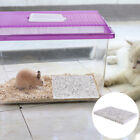 Hamster Cooling Ceramic Pad for Small Pets - Random Pattern-JA