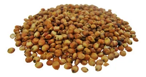 2,20 EUR / Kg NUECES DE MILANO 25 kg partículas pequeñas puré de partículas - Imagen 1 de 1