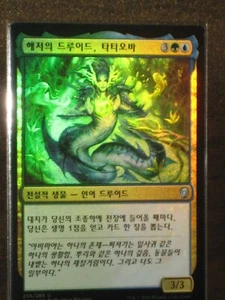 (Foil) [NM] MTG Korean, Dominaria, 1 x Tatyova, Benthic Druid - Picture 1 of 1