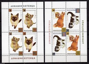 BULGARIA 2013 GATTINI GATTI DOMESTICI ANIMALI 2 MINI LENZUOLA MNH - Foto 1 di 1