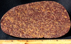 A950 ~ 3.7 oz Slab Hematite/Quartz ~ Colorado River, Arizona - Picture 1 of 8