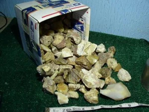 LOTE GRANDE DE OPALITA de colores mixtos a granel 10 libras áspero - Imagen 1 de 2