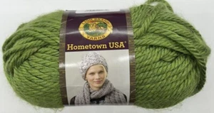 Lion Brand Hometown Yarn "Oklahoma City Green" 1 Skein #1710 - Picture 1 of 3