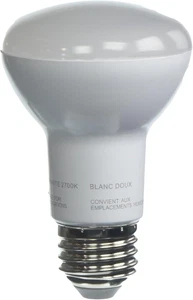 LED R20 Medium E26 Base Light Bulb - 45W Equivalent - 10 Year Lif - Picture 1 of 12