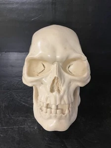 A. Santini Sculpture Life Size Human Skull Made In Italy EUC Heavy - Picture 1 of 14