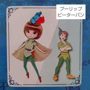 Pullip Doll Peter Pan #3104f9 - Picture 1 of 24