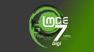 Linux Mint Debian Edition LMDE 7 Gigi Bootable USB Flash Drive - Picture 1 of 1