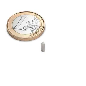 Juego de 10 imanes de disco diámetro 2x6 mm neodimio niquelado - superimán N45 - Imagen 1 de 3