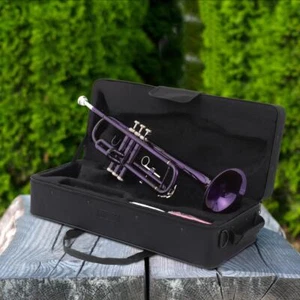 Beginner Purple Brass Bb Trumpet w/Case GlovesMouth of Trumpet for Student Band - Picture 1 of 10