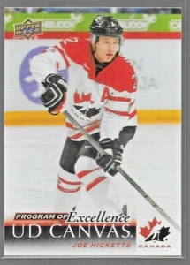 2018-19 Upper Deck Canvas #C269 Joe Hicketts POE Team Canada - Bild 1 von 1