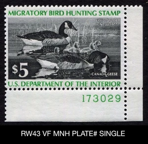 RW43 VF MNH Plate# Single 1976 Canada Geese US Federal Duck Stamp Waterfowl Mint - Picture 1 of 3