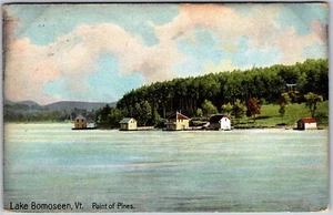 Postcard Lake Bomoseen Vermont c1909 Point of Pines Scenic View Rutland County - Picture 1 of 2