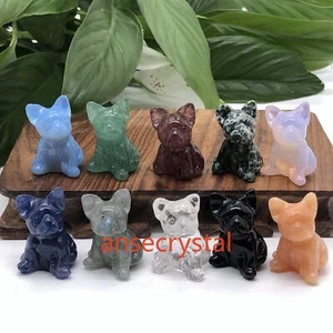 Wholesale Natural Dog Skull Quartz Crystal Skull Reiki Healing - Picture 1 of 17