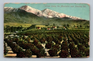 Winter Scene the Mountains Near Pomona California Postcard - Picture 1 of 2