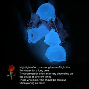 Cartoon Glowing Star Pink Pig Keychain Pendant For Women Girls Kawaii Pendant - Picture 1 of 16