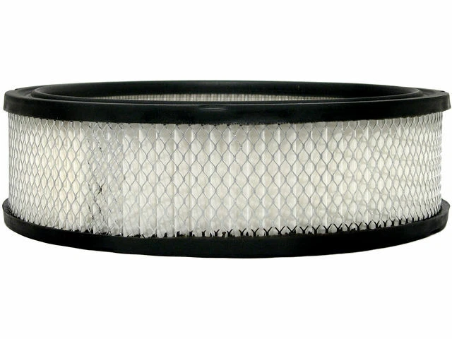 Filtro de aire para Oldsmobile Silhouette 1990-1995 3,1 L V6 LG6 VIN: D 1991 F232YJ Foto 1 de 1