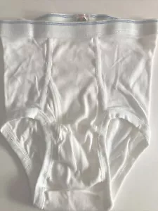 1 PR VINTAGE NWOT FRUIT Of LOOM BRIEF DOUBLE BLUE LINE BAND SizeXL 14-16,RARE - Bild 1 von 3