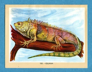 NATURAMA - Lampo 1968 - Figurina-Sticker n. 150 - IGUANA -Rec - Foto 1 di 1