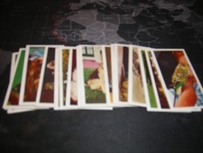 national pets a set of 50 cards from doctor teas.originals from 60s.stored since