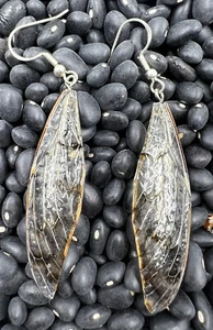 Transparente Zikaden Flügel Ohrringe - Hypoallergener Haken | Naturschmuck für Damen - Bild 1 von 2