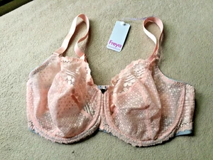Freya 38G (F) Blush Daisy Lace Underwire Bra Style 5131 NWT - Picture 1 of 6