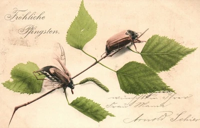 Postal* Feliz Pentecostés (AB) 70321 - Imagen 1 de 2