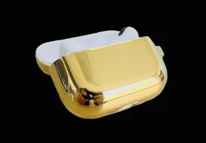 Custom 24k Gold AirPods Case For Apple AirPods Pro - Picture 1 of 8
