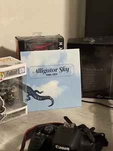 Alligator Sky Owl City, Green "7 vinyl Rare Limited Edition - Picture 1 of 6