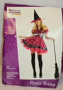 Purple Witch Halloween Costume Pretty Potion Teen Size 3-5 Cosplay Dress/Hat - - Picture 1 of 5