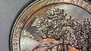 2020-D Feeder Finger US Mint Error Salt River Bay Quarter REV & OBV - Picture 1 of 8