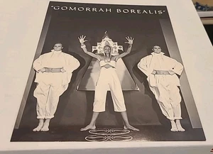 Steven Arnold Promotional Card Gomorrah Borealis Fashion Ballet 1984 Parachute - Picture 1 of 2