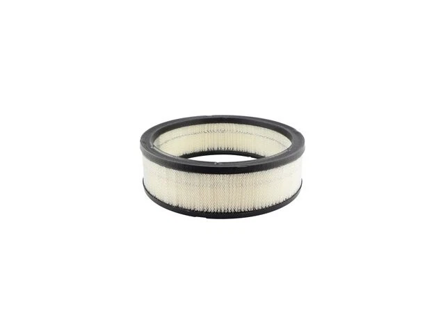 Baldwin 63FT56G Air Filter Fits 1965-1966 Pontiac Bonneville Engine Air Filter - Изображение 1 из 1