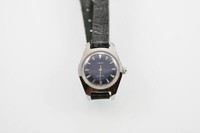 timex cr 2012 cell