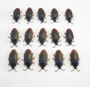 15 NEW FAKE COCKROACHES LARGE REALISTIC COCK ROACH BUGS 2" SIZE SCARY PRANK - Picture 1 of 7