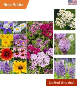Premium 30,000+ Perennial Wildflower Seed Mixture for Vibrant Butterfly Gardens - Picture 1 of 9