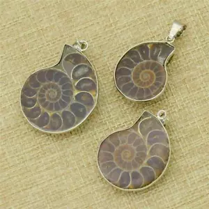 Ammonite Shell Fossil Mineral Charm Necklace Gift Rock Jewelry Pendant - Picture 1 of 5