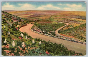 Carlsbad Scenic Drive Through Cavern National New Mexico c1940s Vintage Postcard - Picture 1 of 2