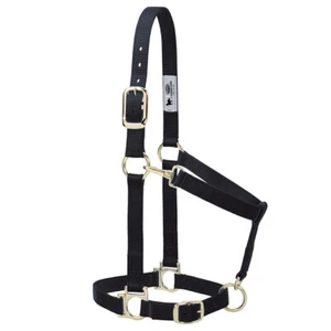 WL Small Weaver Western Horse Nylon Basic Adjustable Chin & Throat Snap Halter - Picture 1 of 1