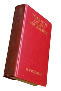 1933 – NATURE'S WONDERLANDS Mastodon La Brea Tarpits T-REX Fossils & Archeology! - Picture 1 of 19