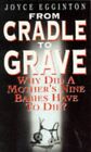 From Cradle to Grave by Egginton, Joyce Paperback Book The Cheap Fast Free Post
