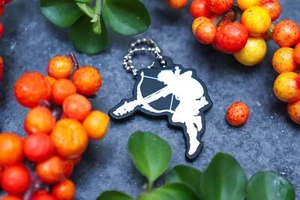 The Legend Of Zelda: Breath Of The Wild Llavero: Izquierda [Silueta] - Bild 1 von 1