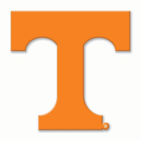 UNIVERSITY OF TENNESSE LOGO FLEXIBLE SMALL 2 1/2" X 3 1/2" NEW Cover