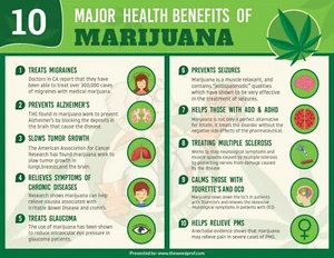 HEALTH BENEFITS OF MARIJUANA POSTER 24 X 36 INCH SWEET! POT MARIJUANA WEED - Picture 1 of 1